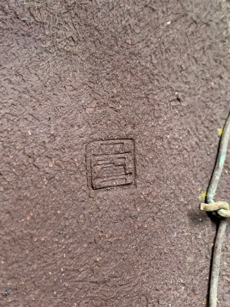 南蛮鉢との相性抜群の山採り文人赤松　細幹　樹高約67cm（検索/真柏　盆栽）