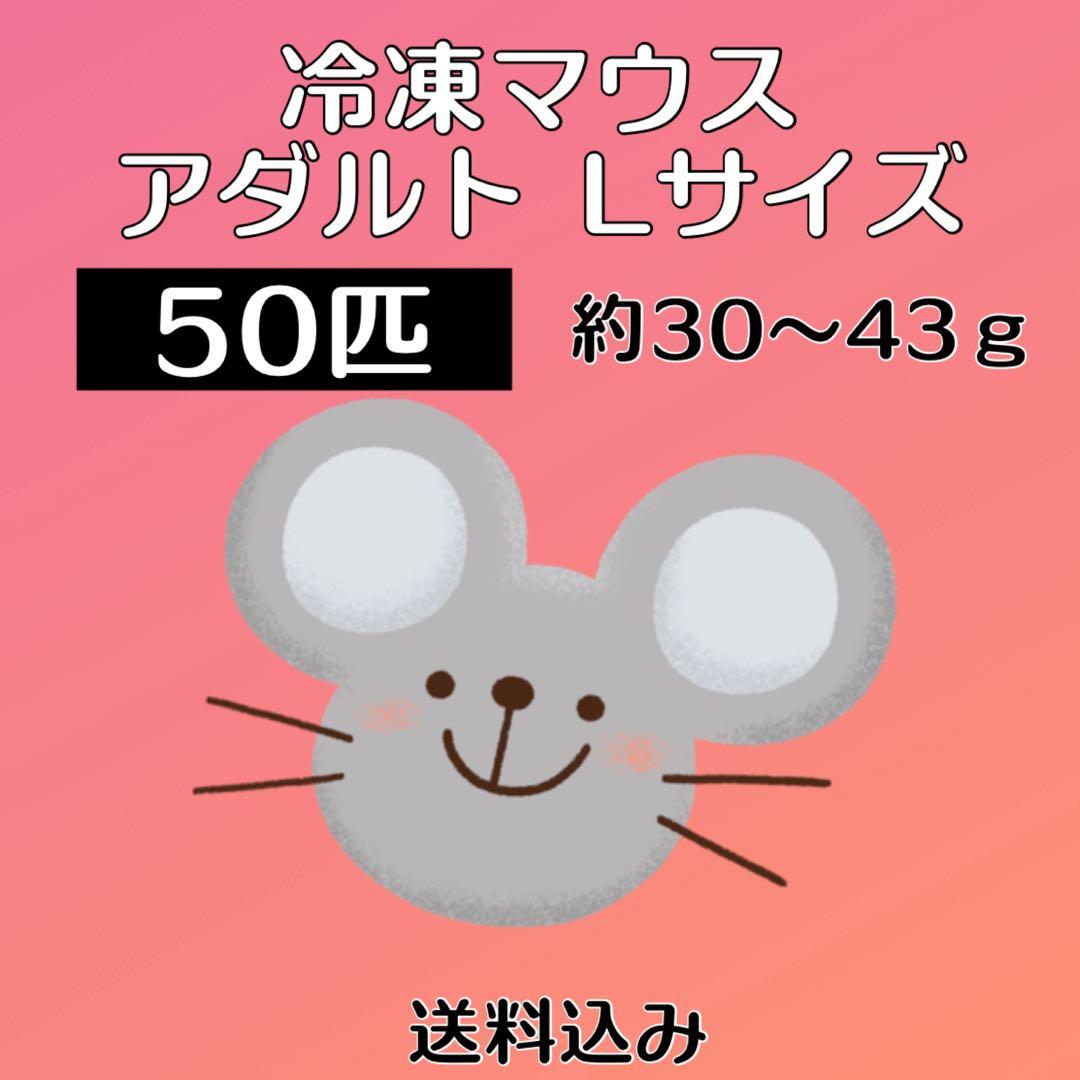 冷凍マウス 50匹 アダルト Lサイズ 1匹 約30～43ｇ