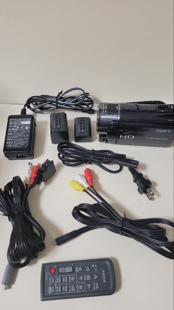 SONY ハンディカム HDR-CX550V