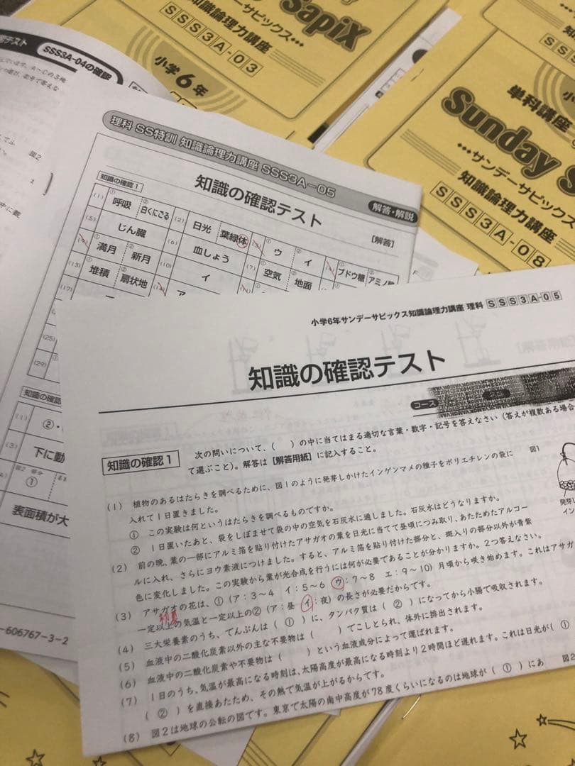 サピックス6年理科　サンデーサピックス　知識論理力講座全14回確認テスト付属