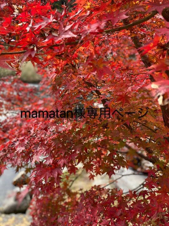 【限定一点】アップルウォッチ シリーズ3 本体GPSモデル 38mm シルバー