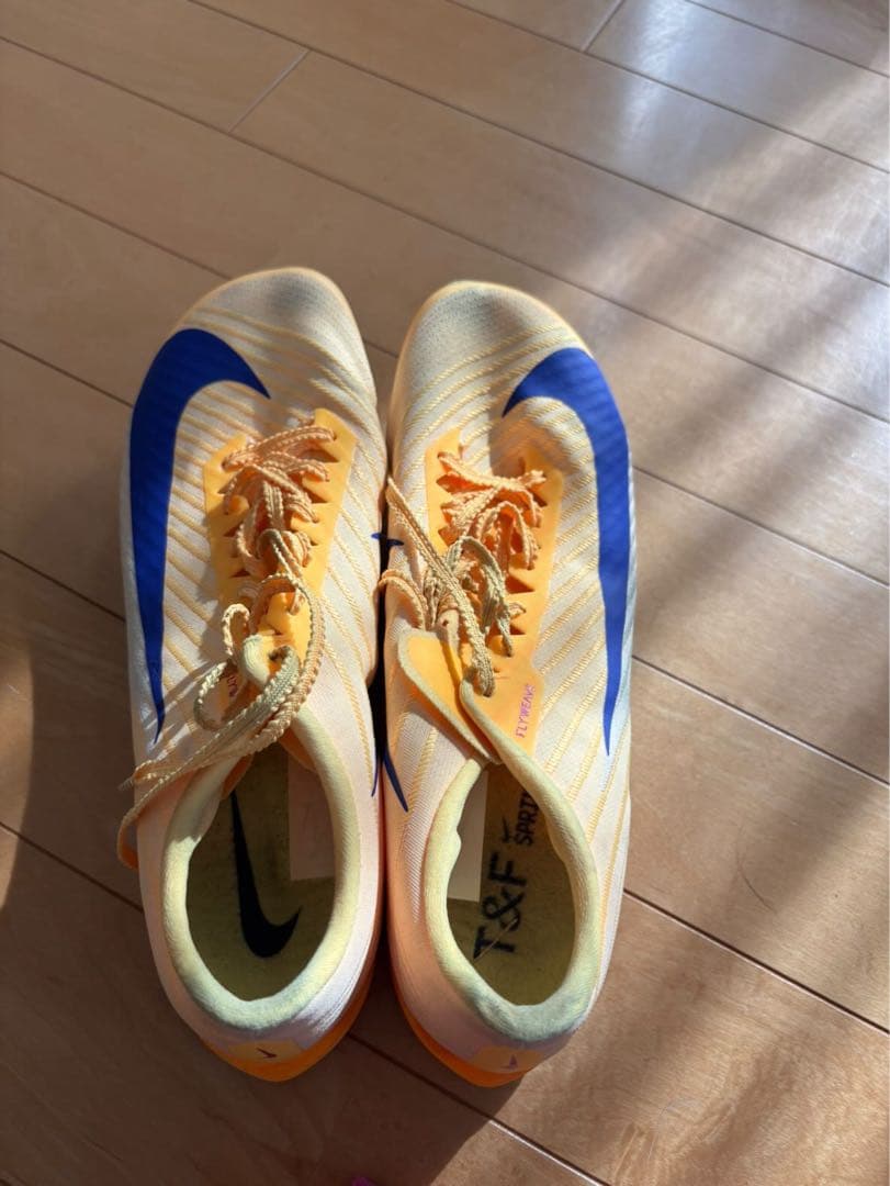 マックスフライ2 世界陸上カラー 24.5