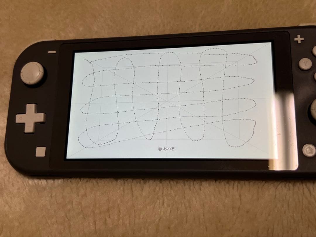 【動作確認済】Nintendo Switch Lite グレー 本体