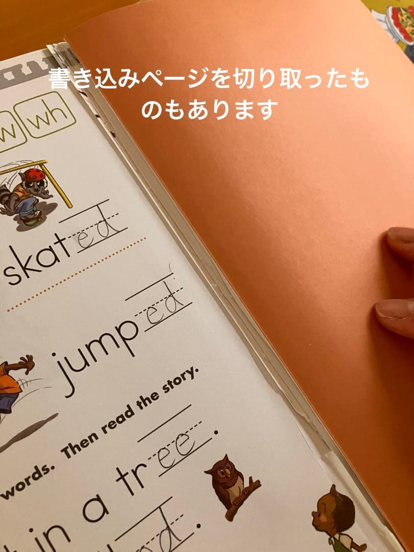 GrapeSEED unit11〜26 テキストCD DVD セット