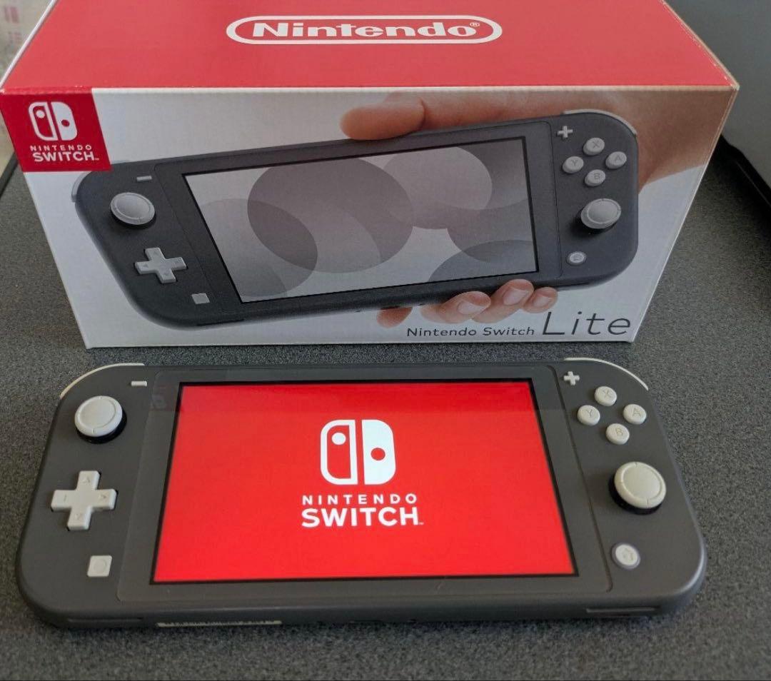 Nintendo Switch Light 本体 グレー ACアダプター付き