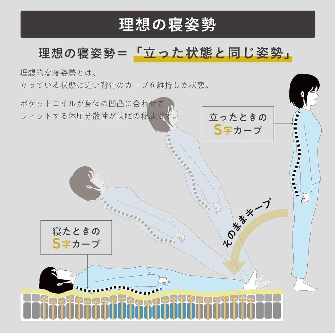 VENTOTA マットレス シングル 2層ポケットコイル 140cm