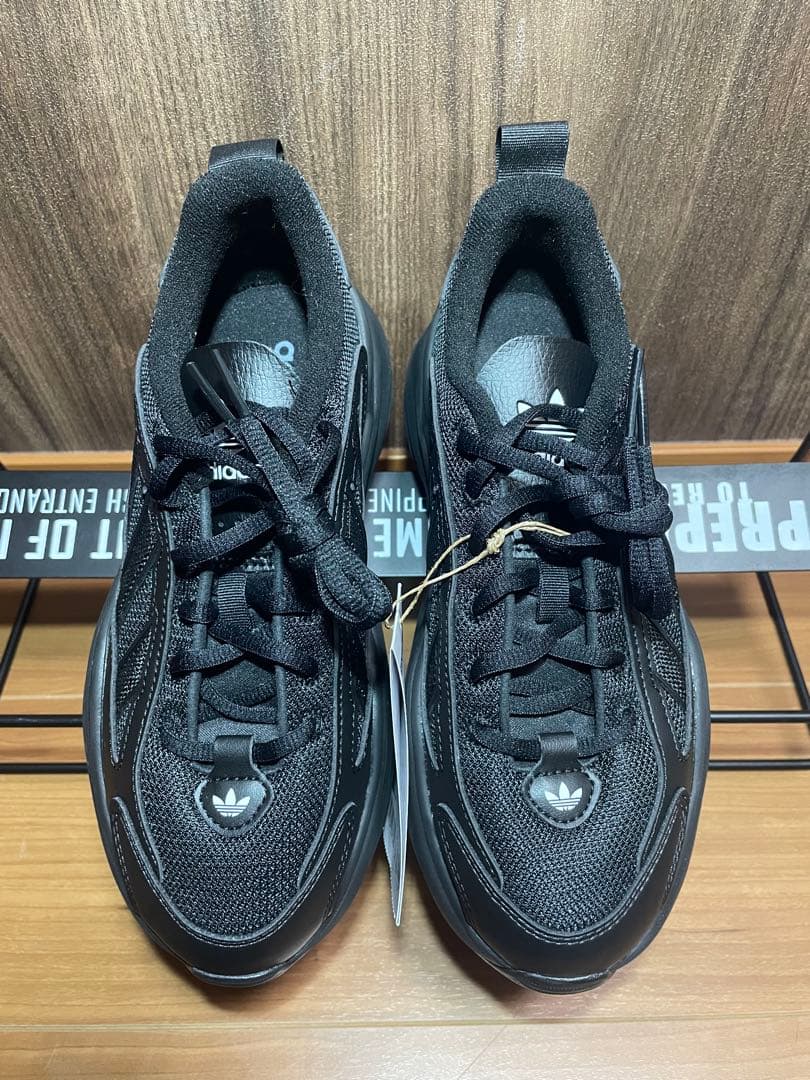 24.5cm オズガイア　OZGAIA adidas originals 新品