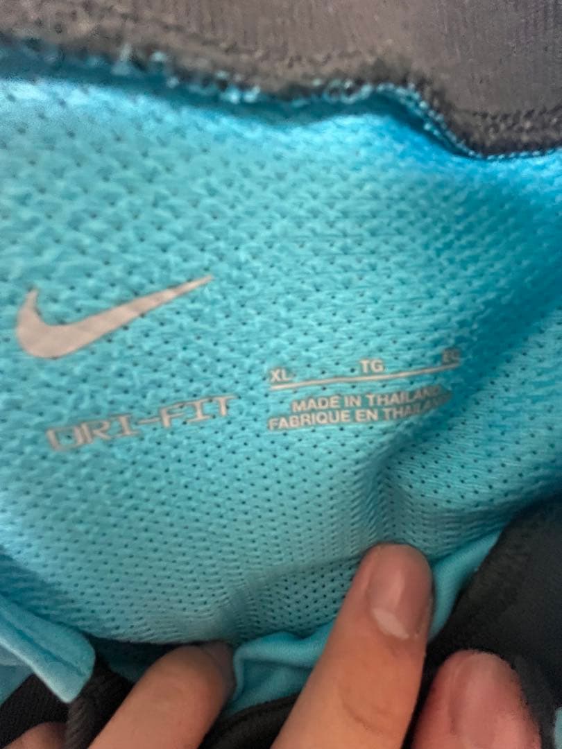 サンフレッチェ広島