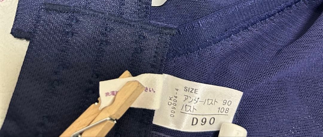 シャンデール　ブラジャーD90