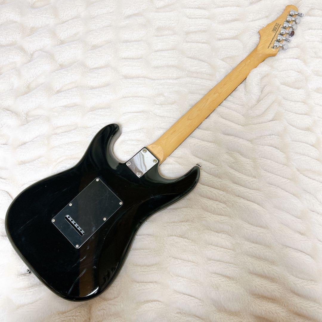 SELVA SST-600 シースルーグリーン HSH ストラト