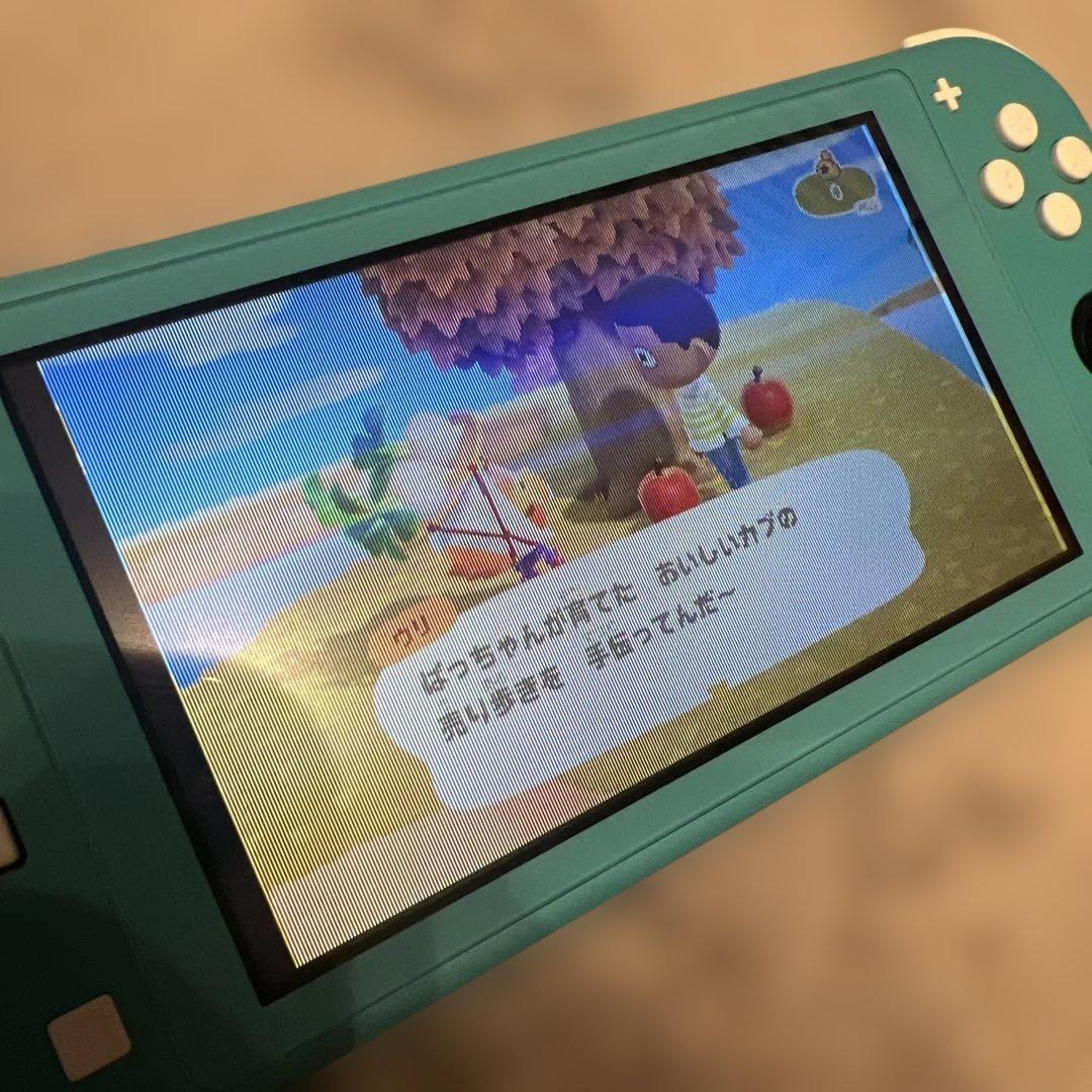 Nintendo Switch Lite ターコイズ 本体（ジャンク品）