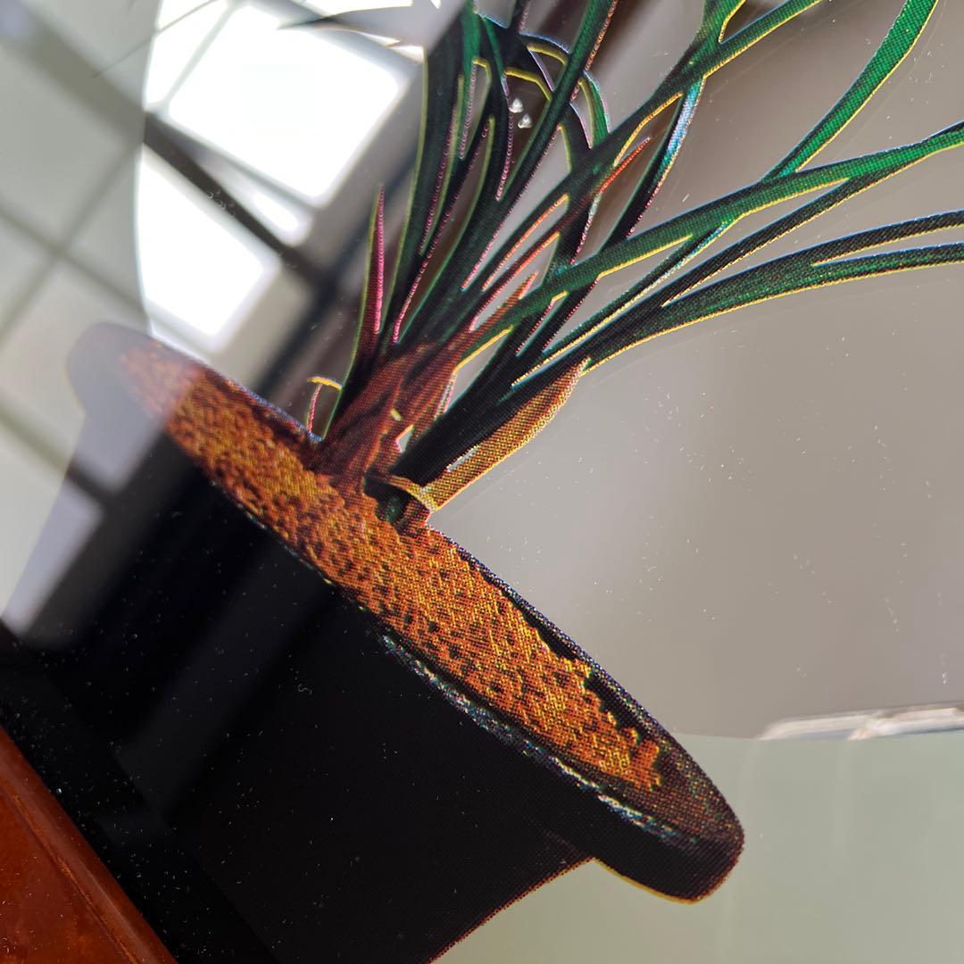 壁掛け鏡 曲線デザイン 植物イラスト付き