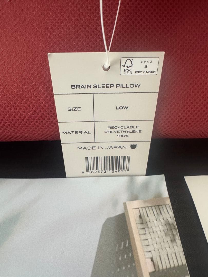 ブレインスリープ (9グラ) ロー 枕 ＋ピローカバー BRAIN SLEEP