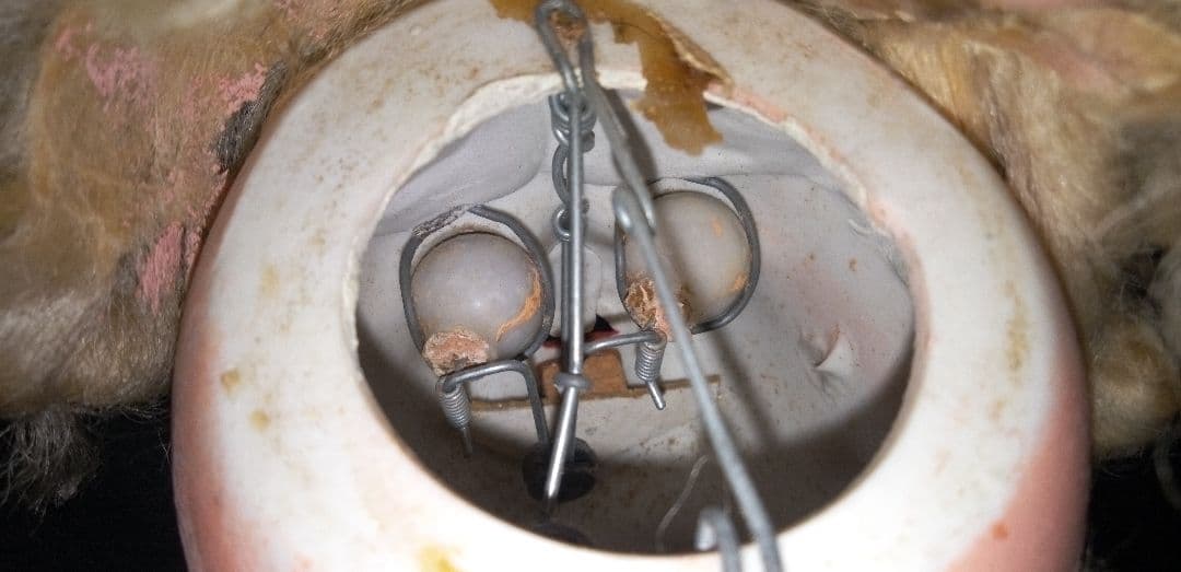 フラーティアイ　シノダ　大正　昭和　サクラビスク　人形　ビスクドール