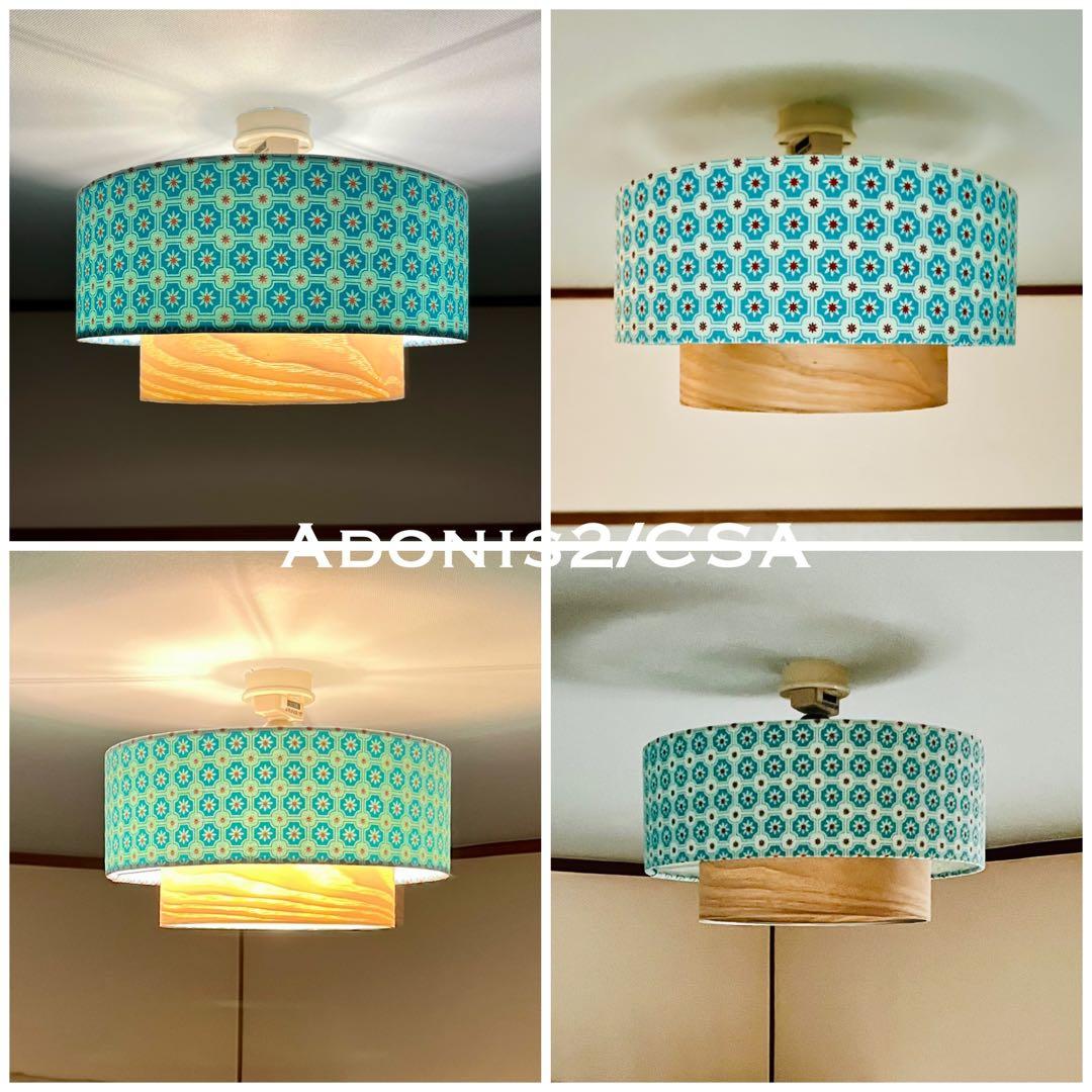 天井照明 シーリングライト Adonis2/CSA E26 LED レトロ 北欧