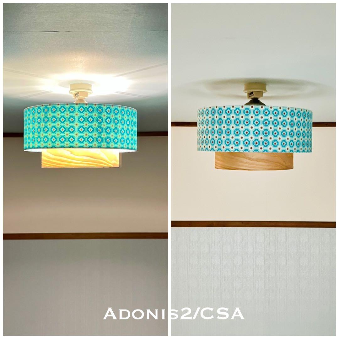 天井照明 シーリングライト Adonis2/CSA E26 LED レトロ 北欧