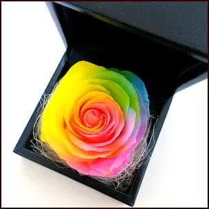 【高級プリザーブドフラワー】レインボーローズ　ブラックボックス