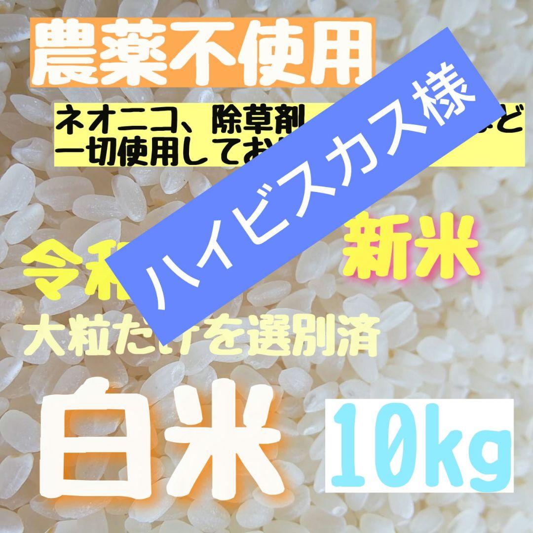 ハイビスカス様