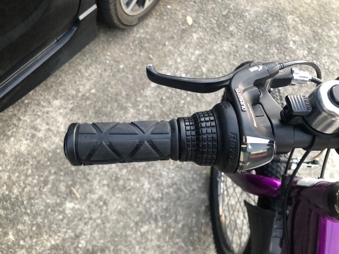 ルイガノジュニア22インチ　現行モデル