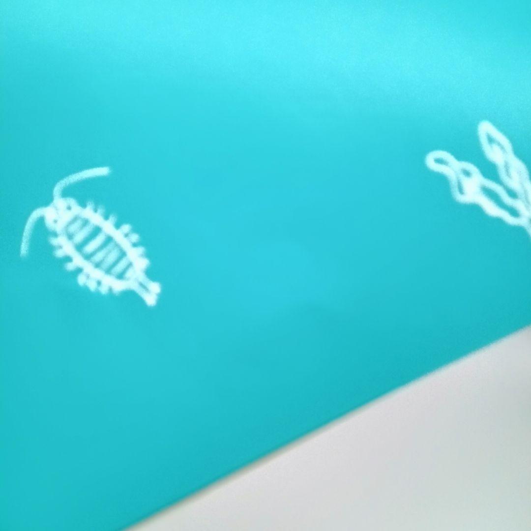 【10ぴきのかえるシリーズ 絵本 14冊セット】ふゆごもり・おしょうがつ