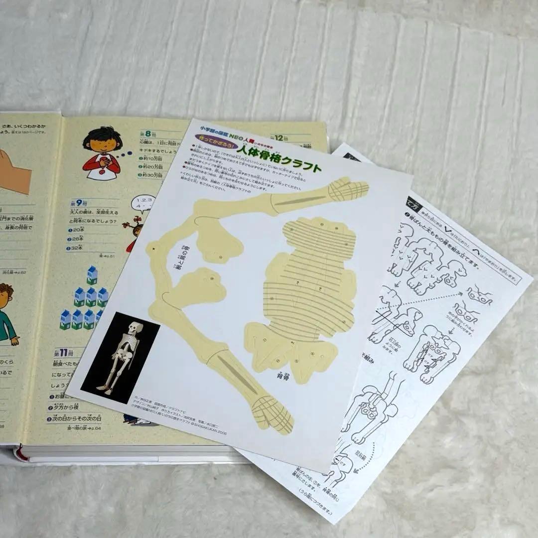 【良品・カバーあり】小学館の図鑑NEO 全巻20冊セット （良品・付録つき多数）