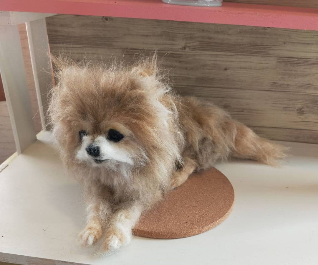 羊毛フェルト　ハンドメイド　かずぽっち