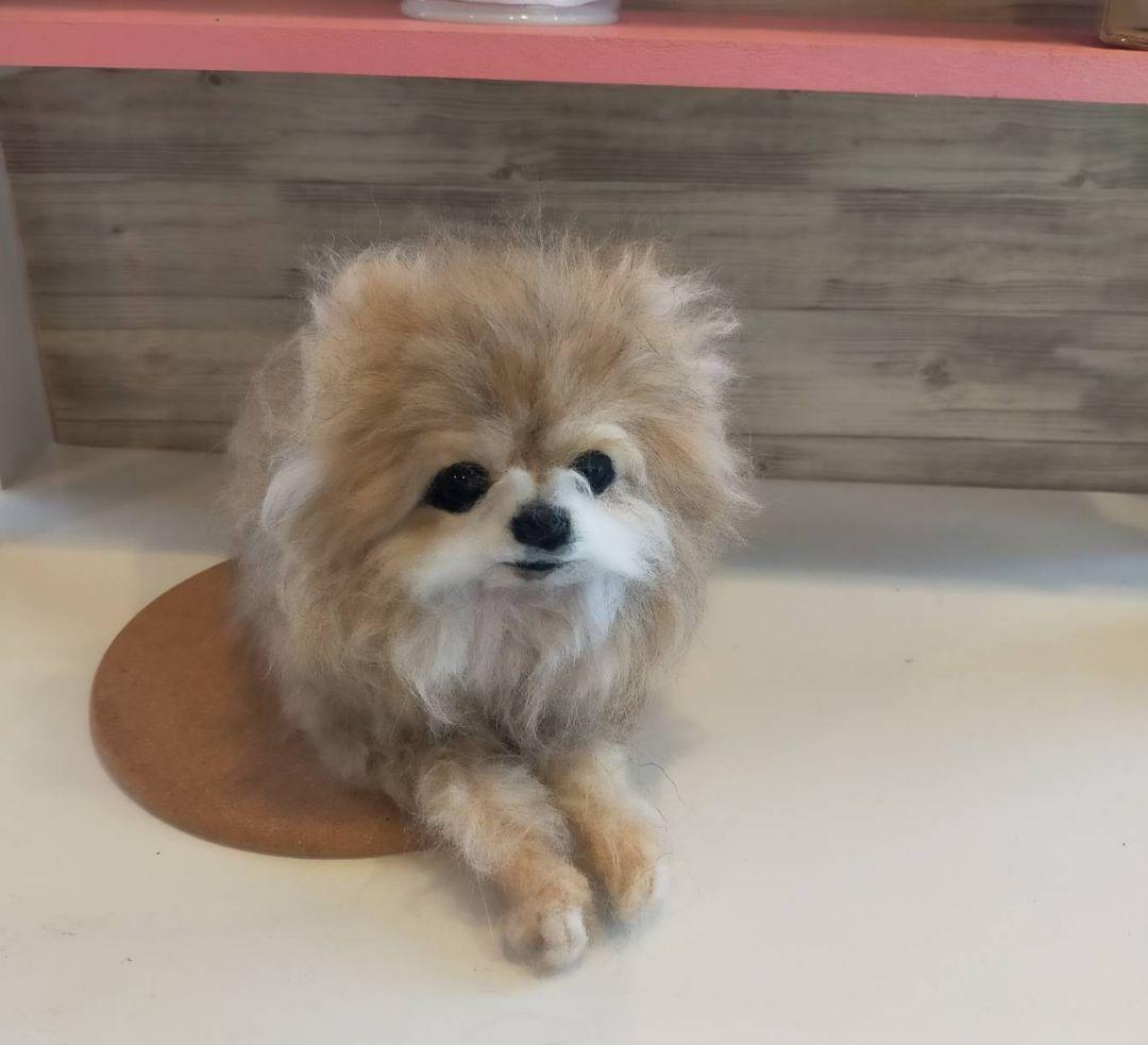 羊毛フェルト　ハンドメイド　かずぽっち