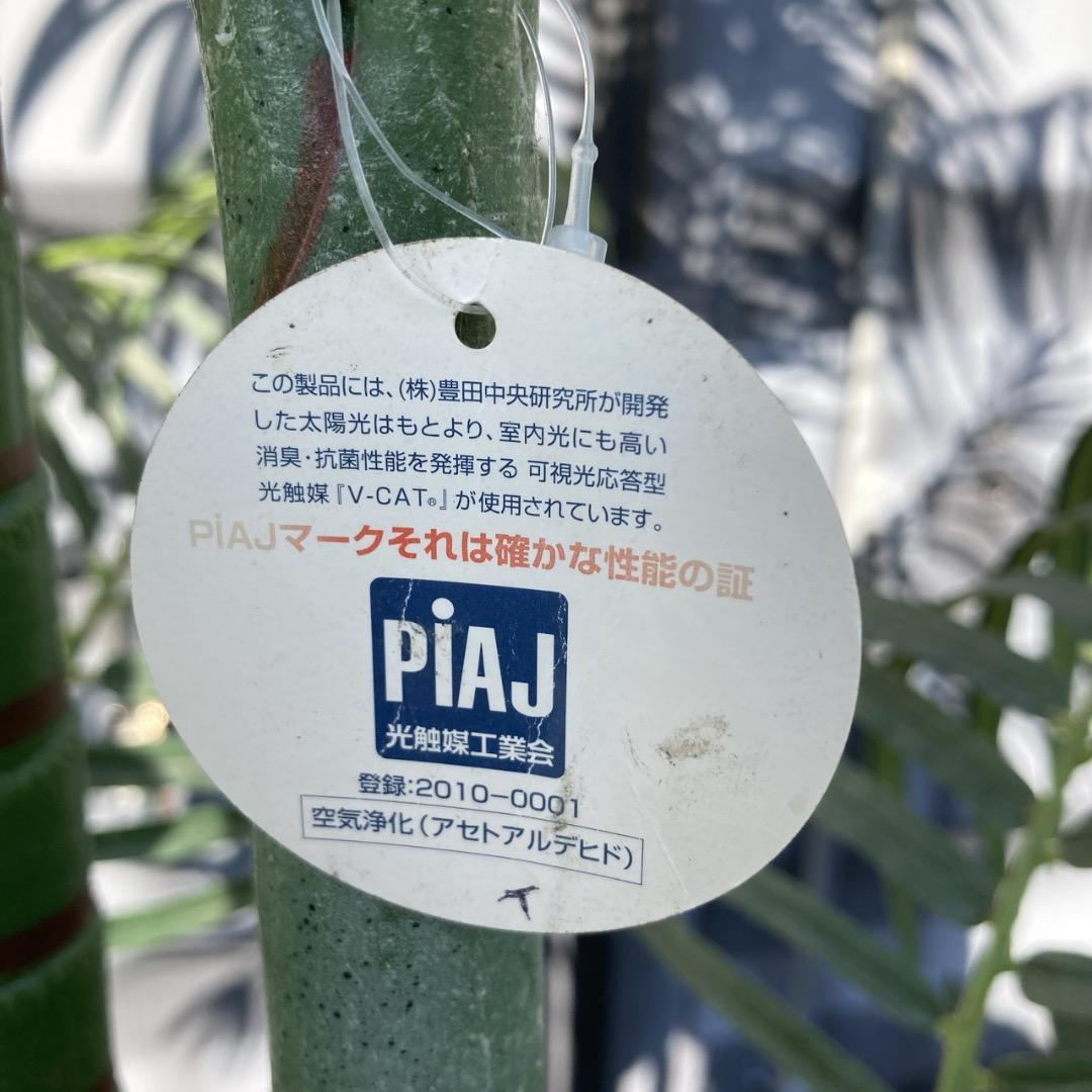 【お値下げOK】大型フェイクグリーン 光触媒人工植物 光の楽園 高さ約260cm