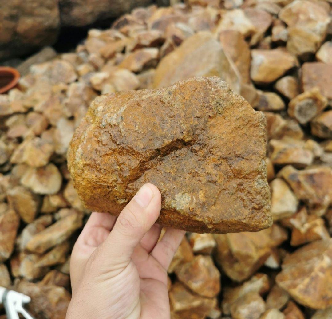 滋賀産　甲賀石　1.000キロ　庭石　石 石材　割栗石　庭　坪庭　ガーデニング