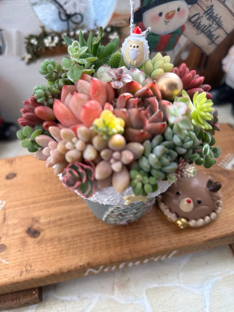 ✳︎専用です✳︎多肉植物そのまま飾れる✳︎Xmas素焼きリメイク鉢　ブルー色