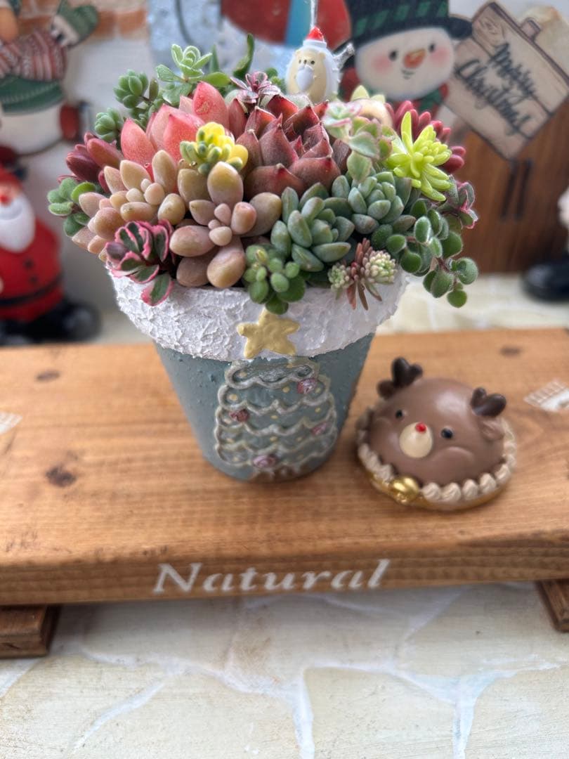 ✳︎専用です✳︎多肉植物そのまま飾れる✳︎Xmas素焼きリメイク鉢　ブルー色