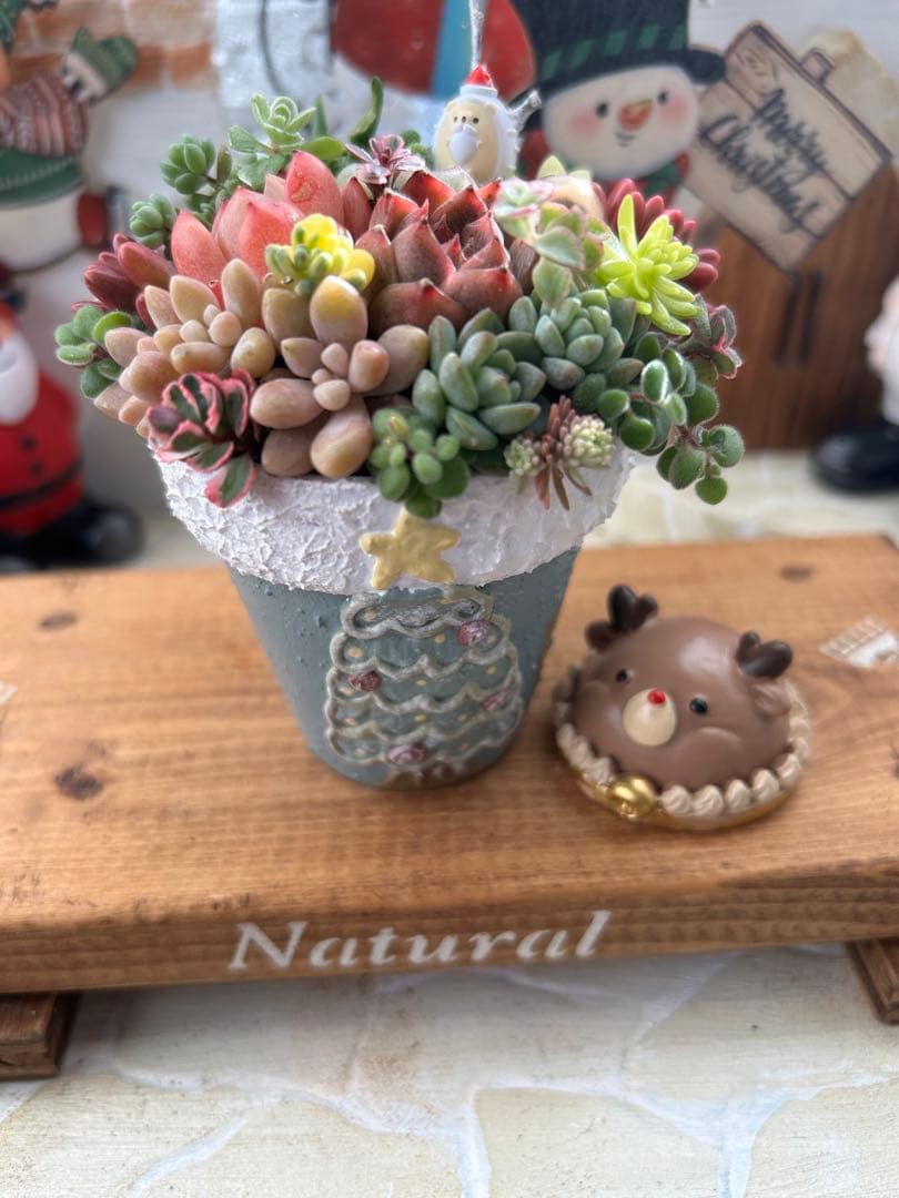 ✳︎専用です✳︎多肉植物そのまま飾れる✳︎Xmas素焼きリメイク鉢　ブルー色