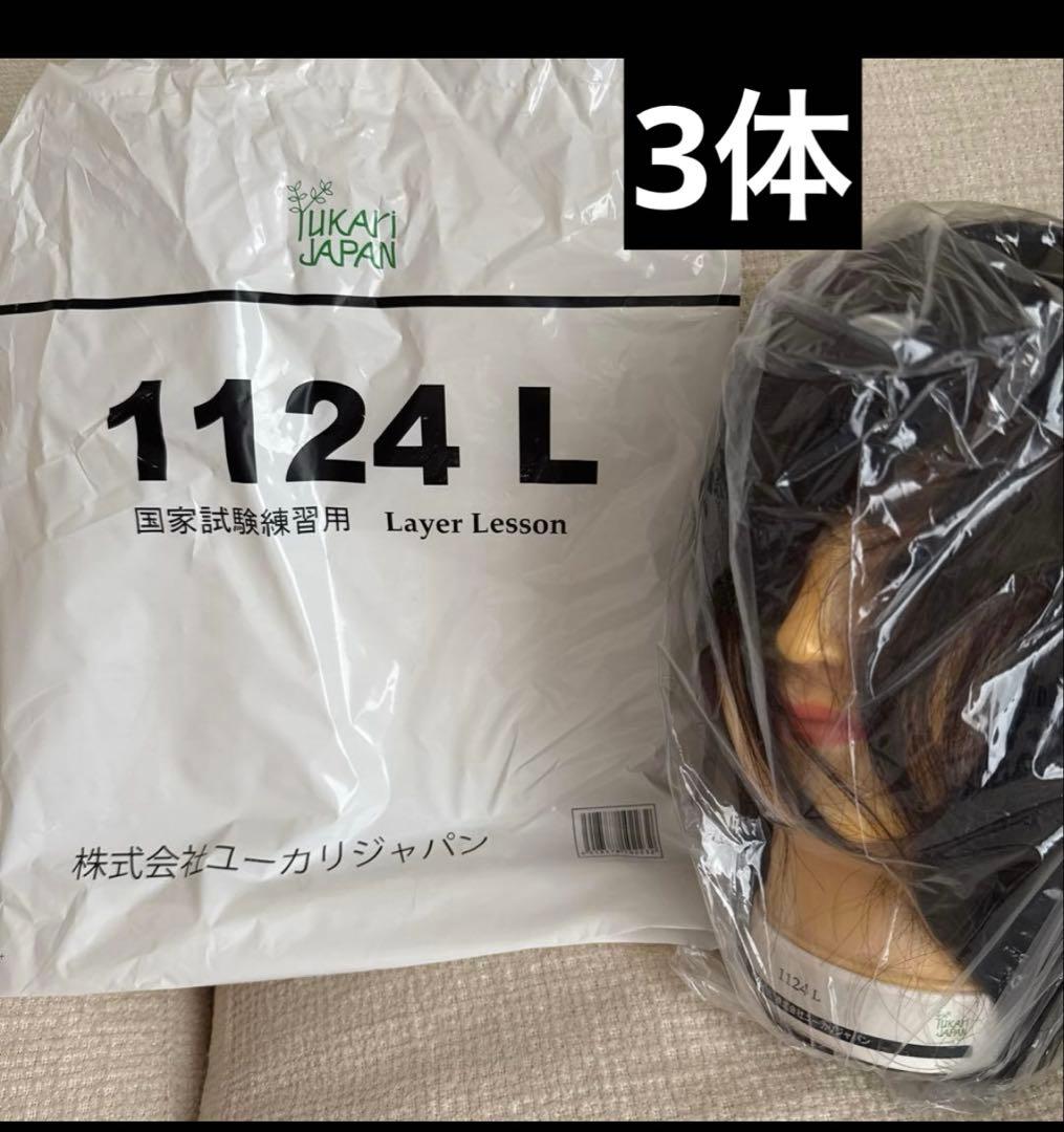 国家試験練習用ウィッグ 3体 ユーカリ1124L