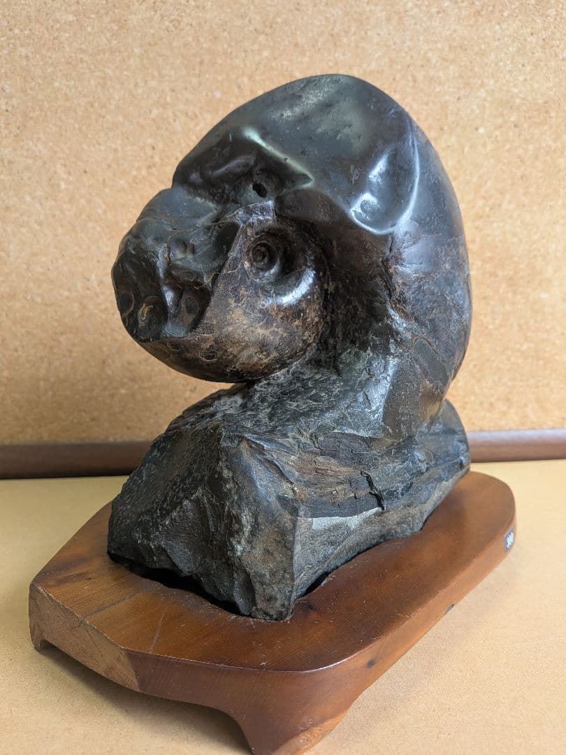 アンモナイト化石 15.0㎝(300)