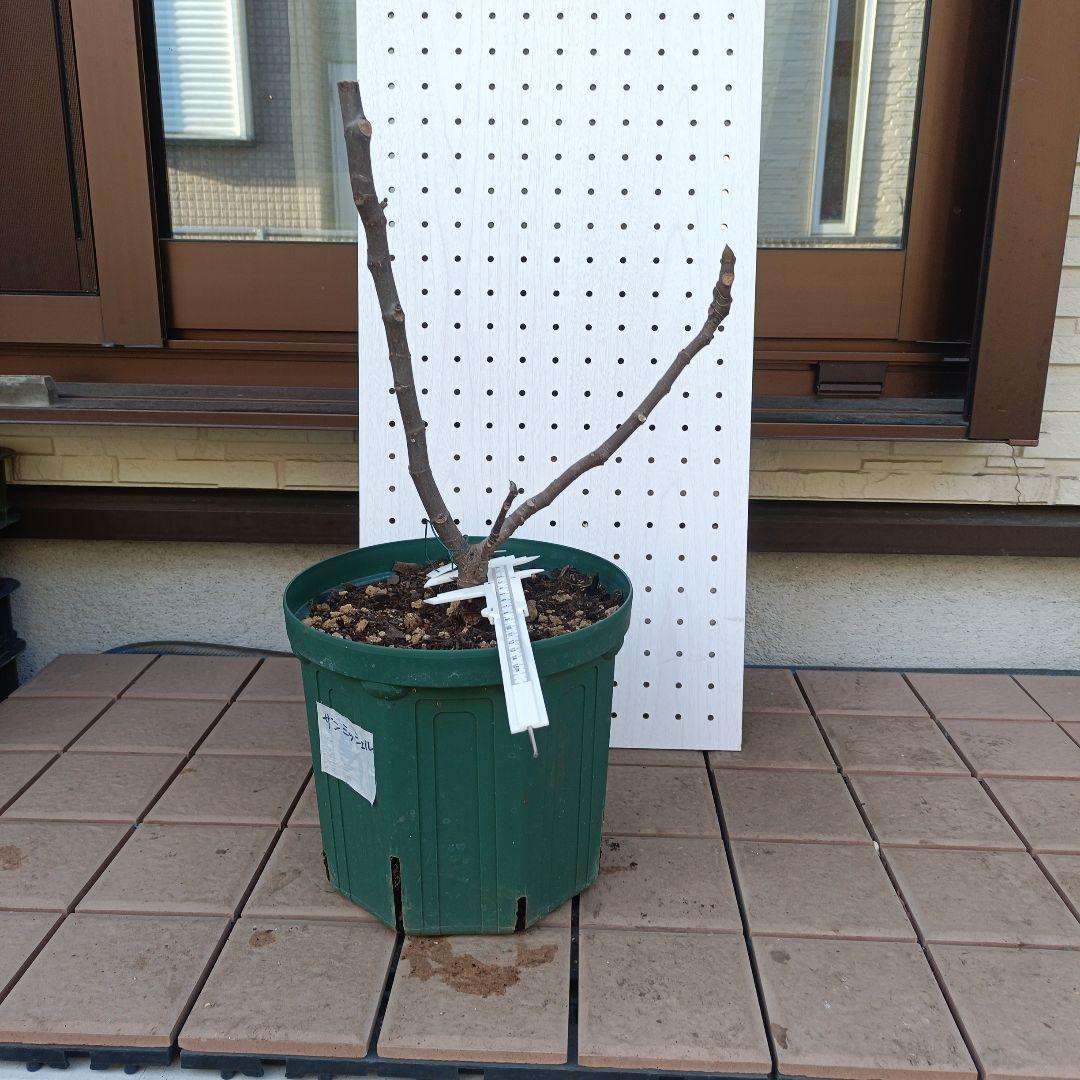 ねこぽん様 リクエスト 2点 まとめ商品