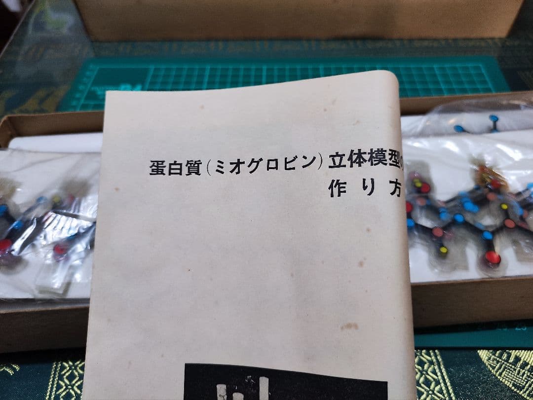 DNA立体模型 オミグロビン立体模型 共立出版