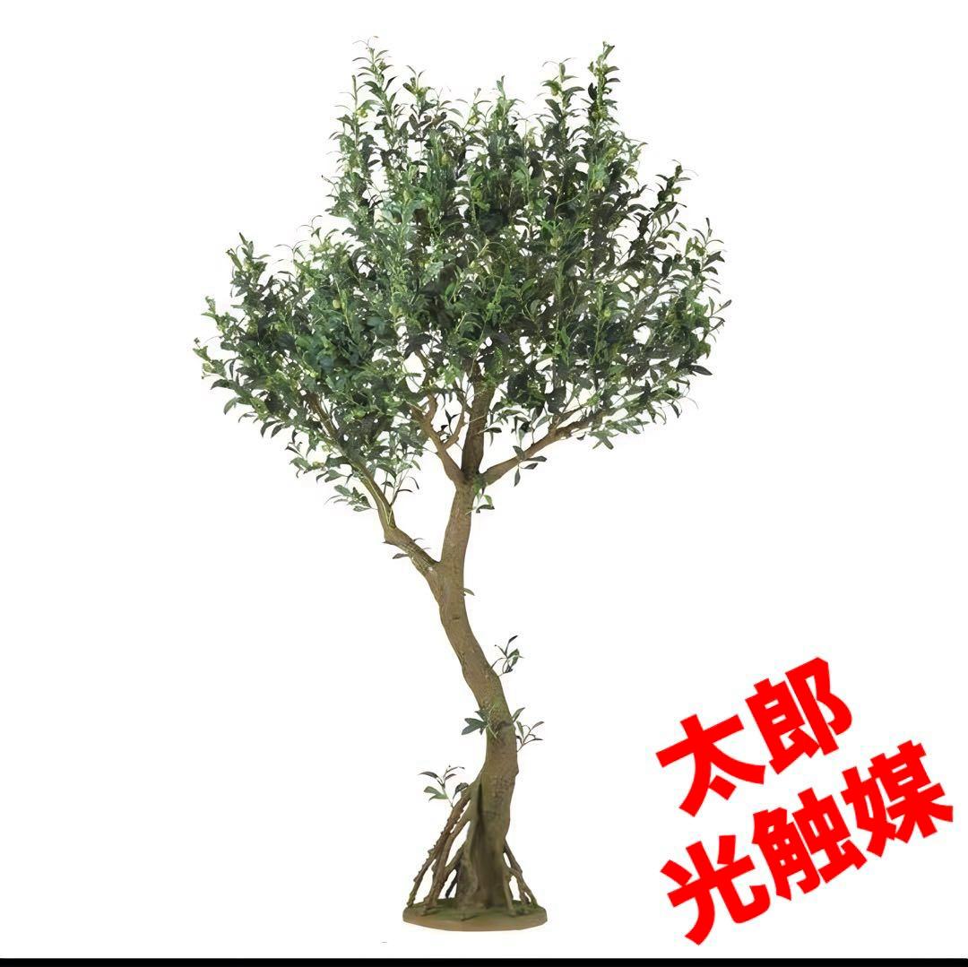 光触媒　人工観葉植物　ウォールグリーン　フェイクグリーン　ライプオリーブ220