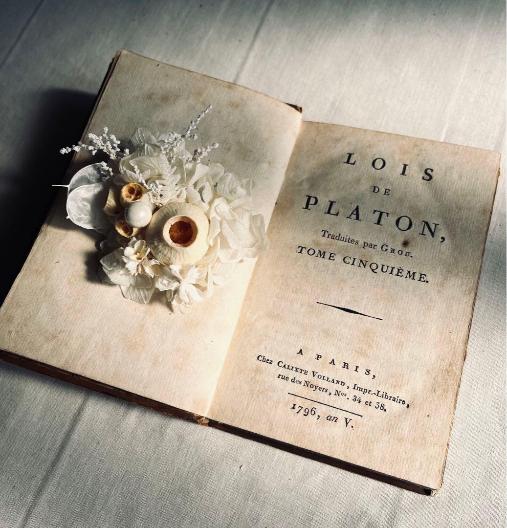 フラワー・ガーデニング corsage no.774