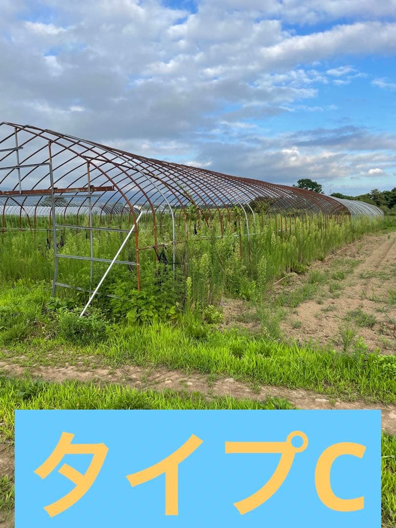 農業用パイプ　ビニールハウス農業資材　タイプCビニールハウス用50メートル