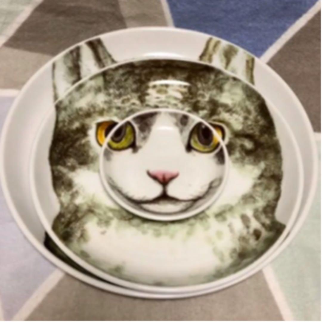 ヒグチユウコ　絵皿　とうき