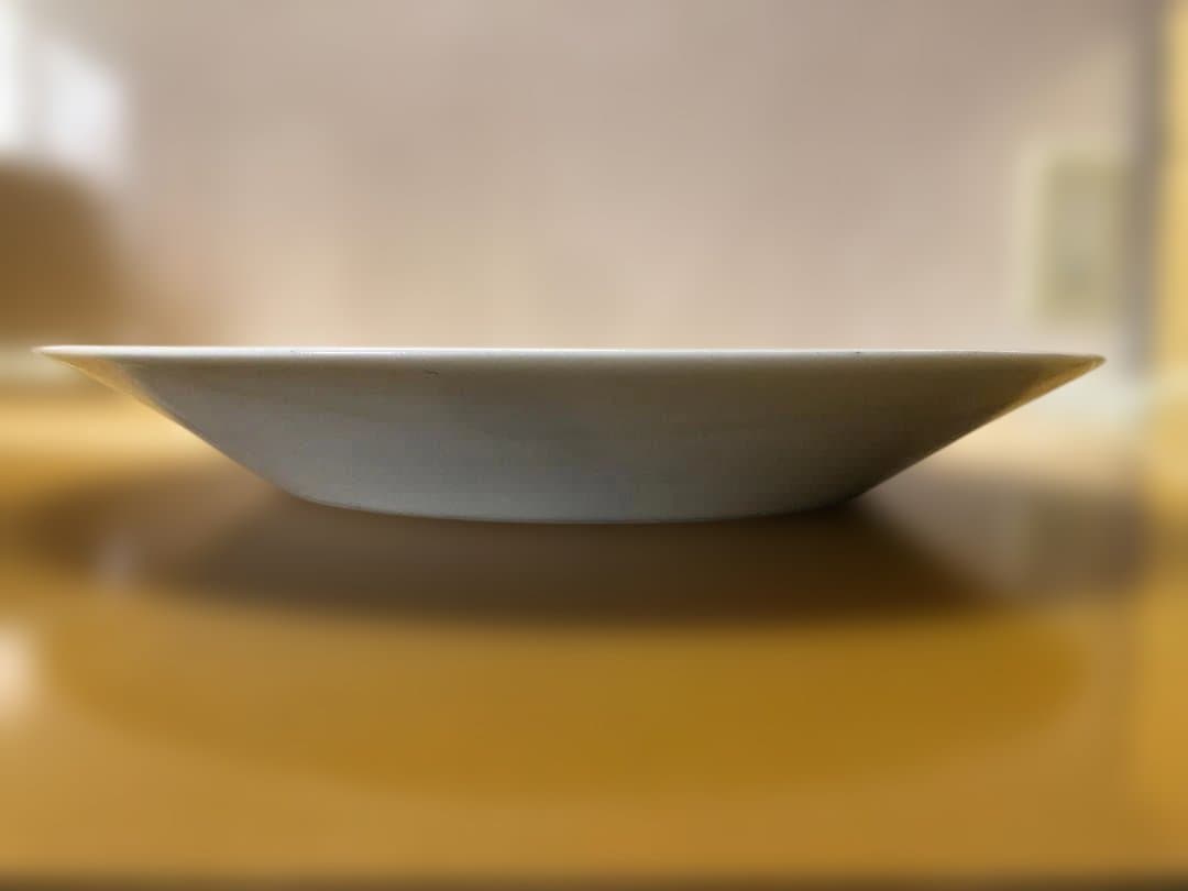 椿紋大皿 10客 ※バラ売り・アソート売り可