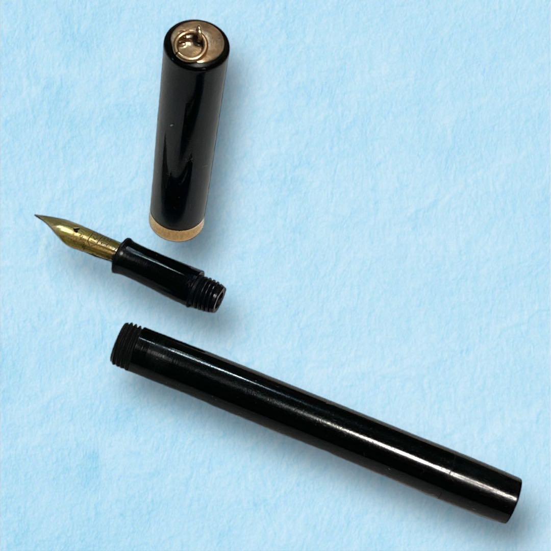 万年筆 アンティーク　THE PALM NAFETY FOUNTA IN PEN