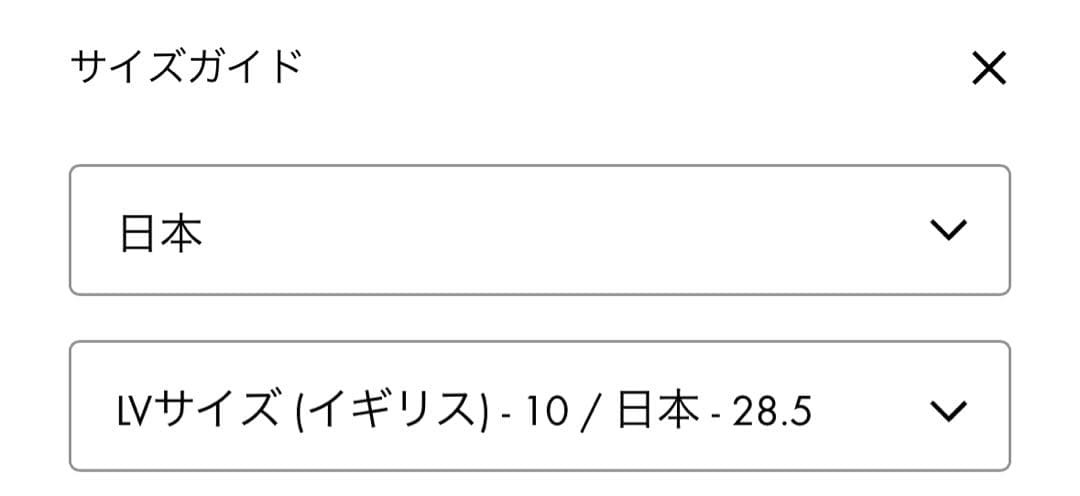 未使用）LOUIS VUITTON スニーカー ブラック ブルーサイズ10