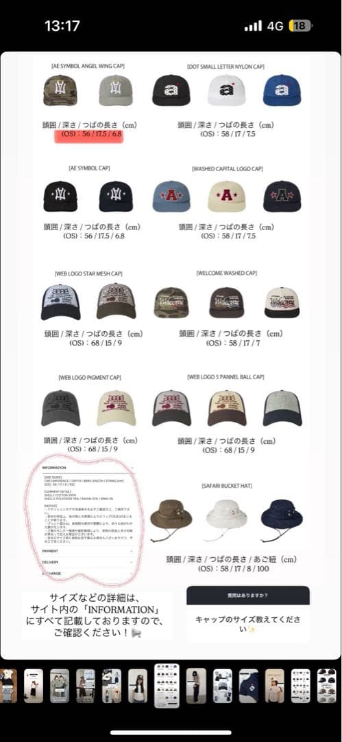 AE SYMBOL ANGEL WING CAP [CAMO] aeaeキャップ