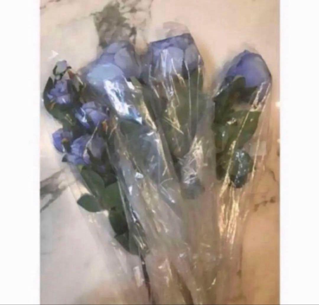 20点セット ❤︎ 新品 造花 HERVE GAMBS ＆ フランフラン