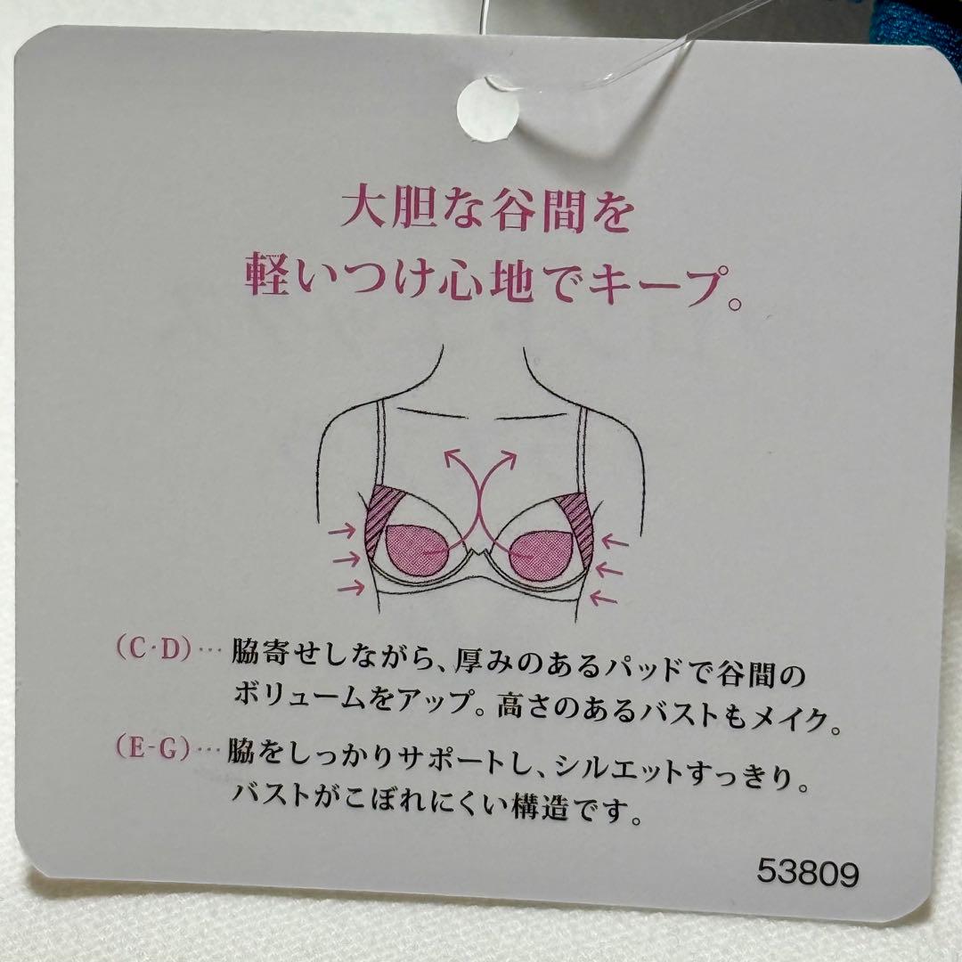 ワコール フロントエックスプラスブラ C75L