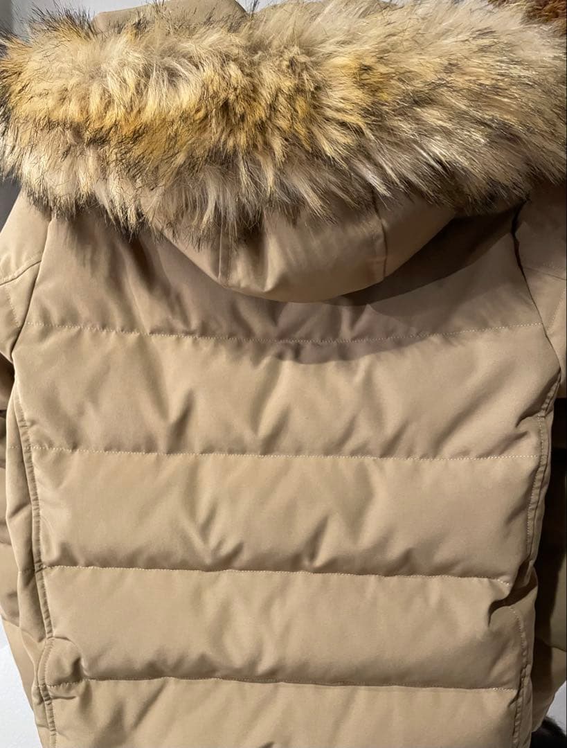 DANTON ダウンジャケット M