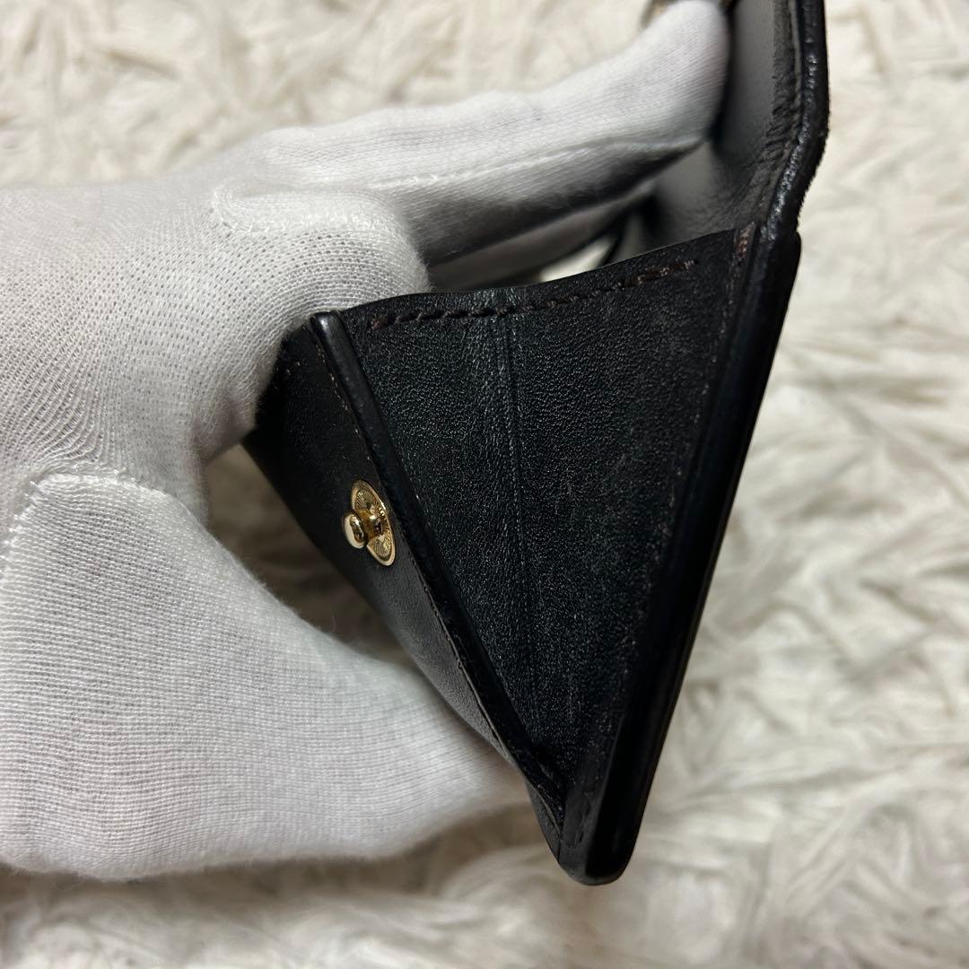 ⭐️極美品⭐️ワイルドスワンズ タング サドルプルアップ ケース メンズ 箱付