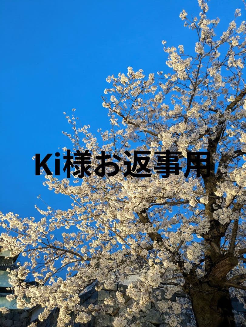 専用にてお取引中