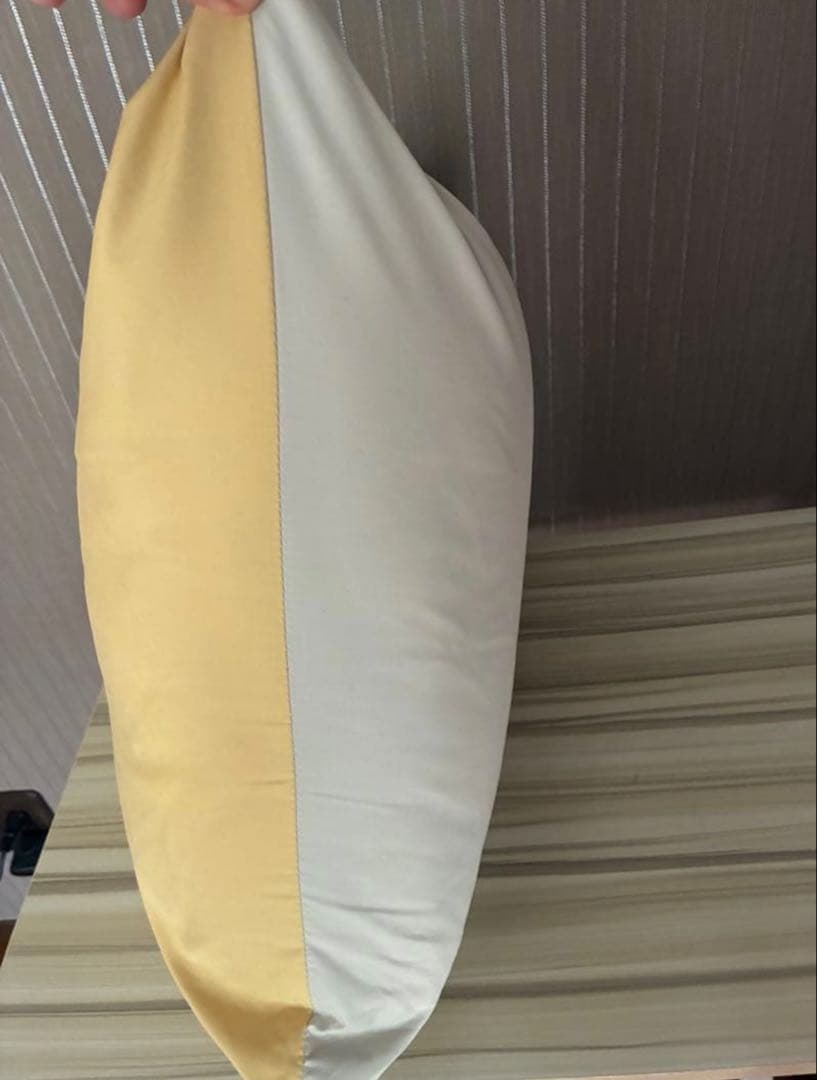 西川　ダウンシュラフ寝袋　羽毛布団150×200 エアピロー付き　未使用